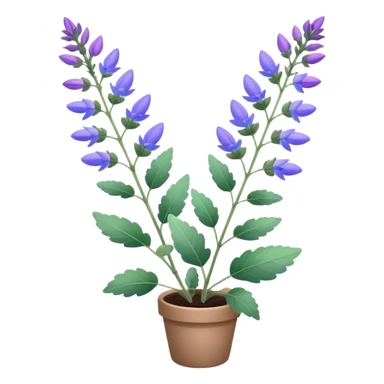 clary sage plant with purple and blue colors, no pot, isolated sticker