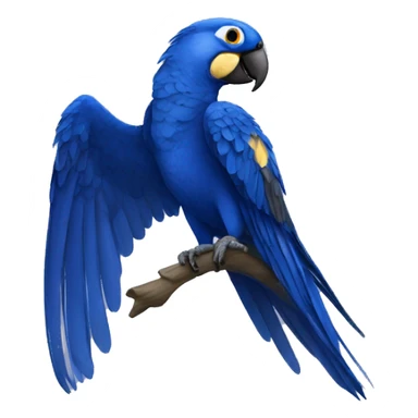 hyacinth macaw sticker