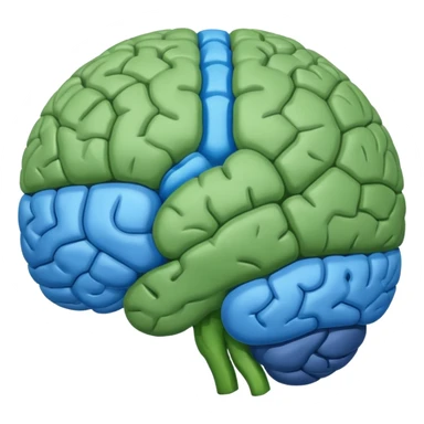 The brain has blue hemispheres and green hemispheres. sticker