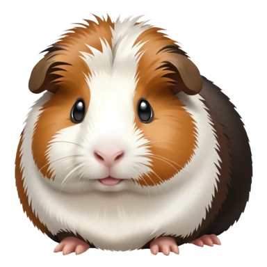 Black brown and white guinea pig sticker