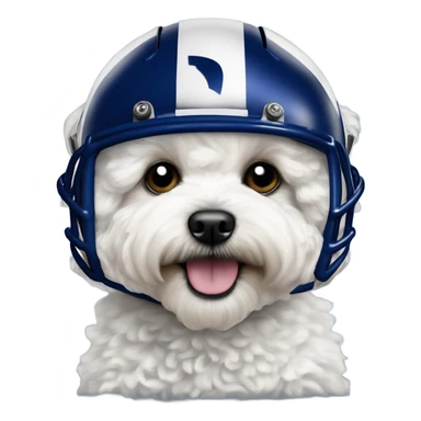 White fluffy maltipoo wearing LA Rams football helmet royal blue sticker