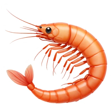White shrimp  sticker