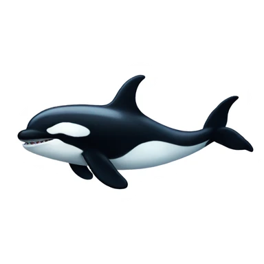 Killer whale  sticker