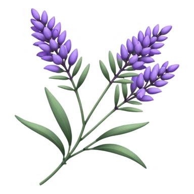 Lavender  sticker