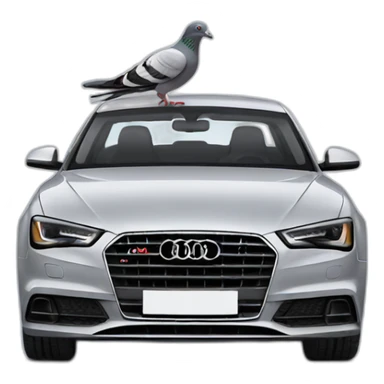 pigeon in audi car sticker