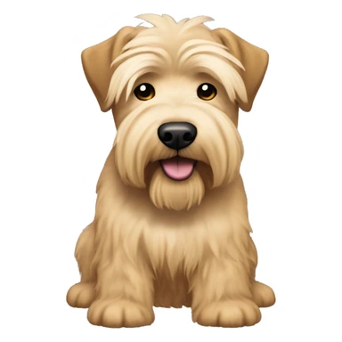 Wheaten terrier with long lighter color hair, darker color ears and black chin sticker