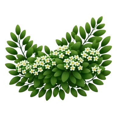 A dense bush with dark leaves and a curved organic shape with small white flower sticker