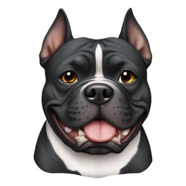 Black american bully with blunt sticker