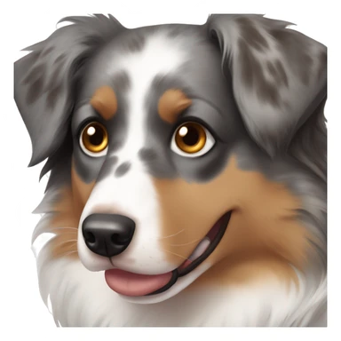 Australian Shepherd with one brown and one blue eye  sticker