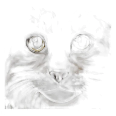 a mainecoon cat sticker