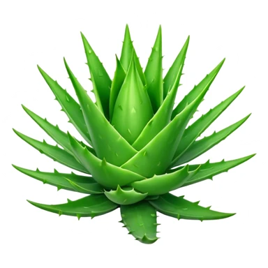 Cinematic Realistic Aloe Vera Emoji, Plump and succulent, with thick, fleshy leaves arranged in a star-like rosette. The vibrant green leaves have a slightly spiky texture, exuding a sense of resilience and healing. Soft glowing outline, capturing the essence of natural wellness and desert vitality in a flourishing aloe vera plant! sticker