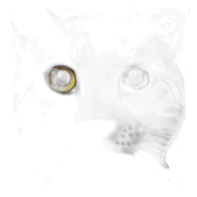 Кот с тетрадкой учит математику sticker