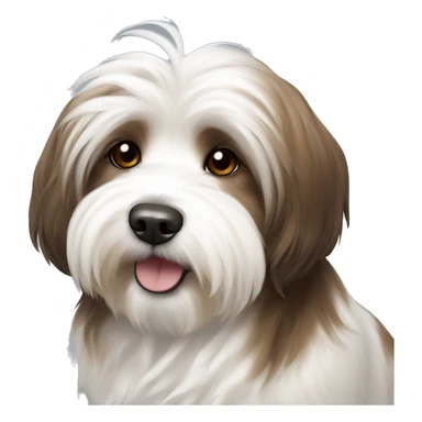 Dog havanese full height brown and white sticker