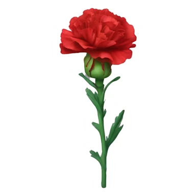 Red carnation sticker