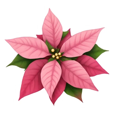 pink poinsettia christmas flowers sticker