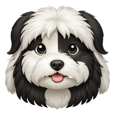 havanese female dog black and white sticker