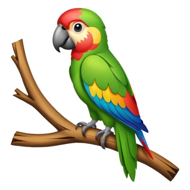 Perroquet de face sticker