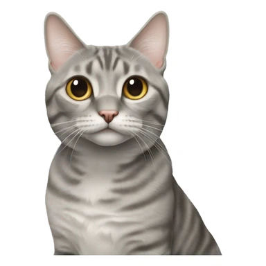 grey american bobtail sticker