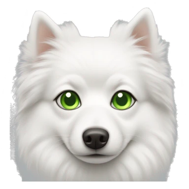 white spitz with green eyes sticker