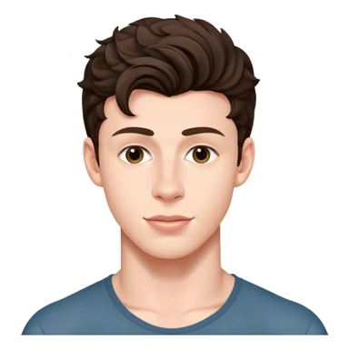 Shawn Mendes sticker