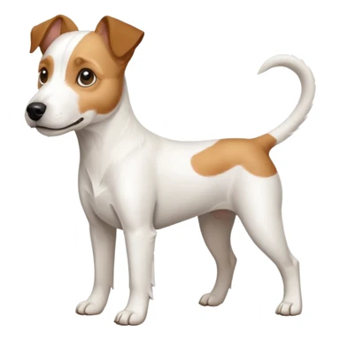 a full body white parson russell looking dog the size of a kelpie with light brown ears and a light brown patch on one eye and a large snout sticker
