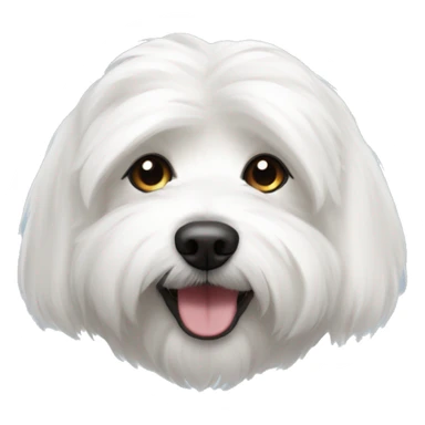 coton de tulear sticker