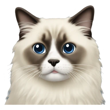 seal point ragdoll sticker