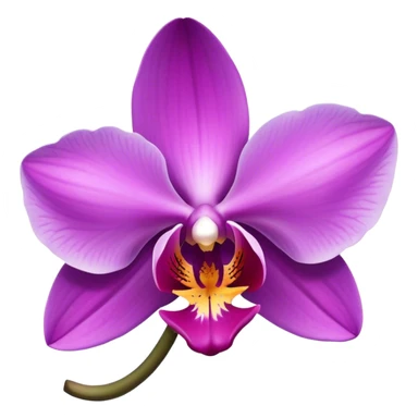 Purple orchid  sticker