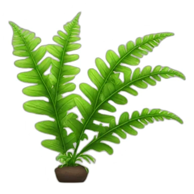 growth plant fern sticker