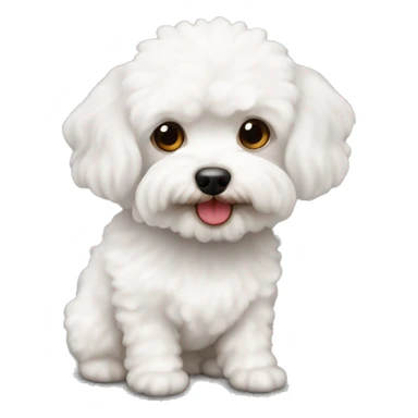 white maltipoo dog with two red brownish ears sticker