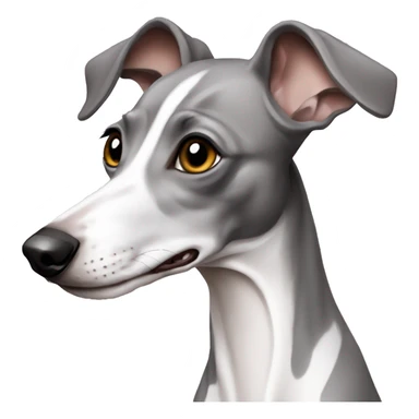 grey and white italian greyhound sticker
