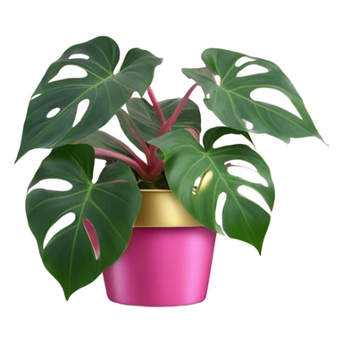 Philodendron pink princess in gold pot sticker