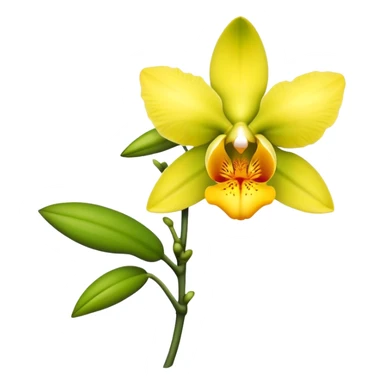 single yellow Dendrobium Orchid flower, stem sticker