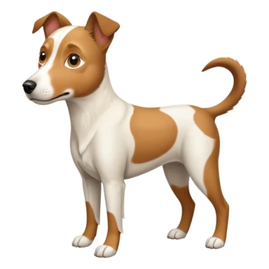a full body large white parson russell looking dog the size of a kelpie with light brown flapped down ears and a light brown patch on one eye and a large snout sticker