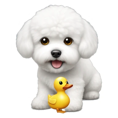 White little Bichon Frize with toy duck  sticker