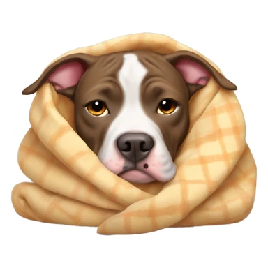 Pitbull snuggled up in blanket  sticker