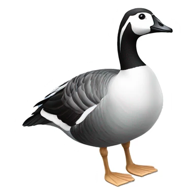 Barnacle goose sticker