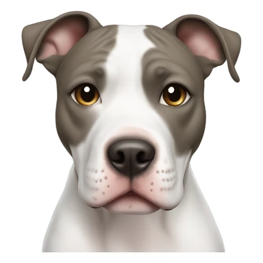 Smiling White American Staffordshire terrier with light gray/brown patches by only her left ear and blue eyes sticker