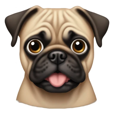 Brown and black pug with eyes facing outward sticker