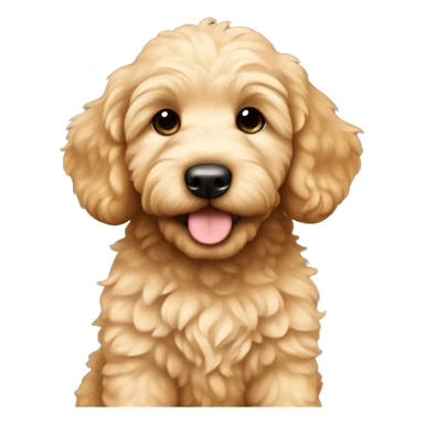 Cute golden doodle puppy named Bruno sticker
