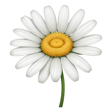 A white flower symbolising daisy flower sticker