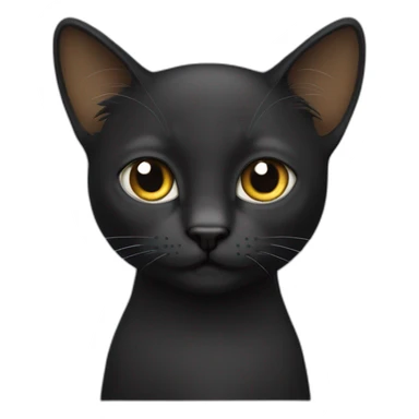 Gato negro de pelo largo sticker