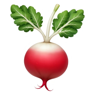 smaller radish UK plant with a bit of white on the bottom of the radish sticker