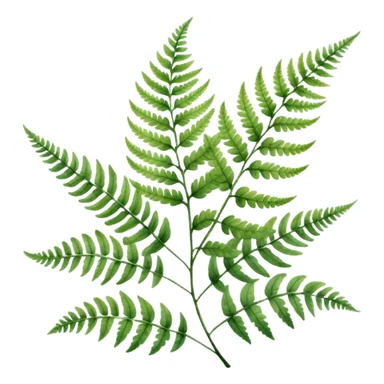 A close-up of a fern plant with intricate leaves, painted in soft watercolor greens with a subtle textured background.
 sticker