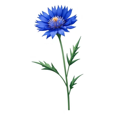 single blue Cornflower, straight stem sticker