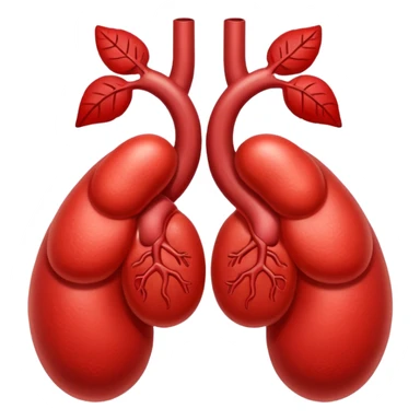 kidneys sticker