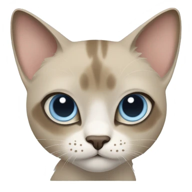 Thai breed cat with a light cream -brown body, dark gray-brown face, ears, and paws. Short fur, sharp ears, striking light blue eyes  sticker