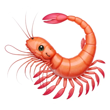 A pink shrimp with a cat's head, shrimp body and tail with cat face sticker
