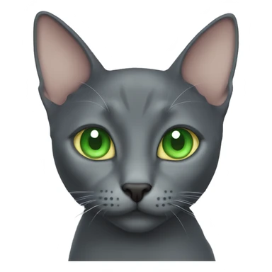 Korat cat with green eyes face sticker