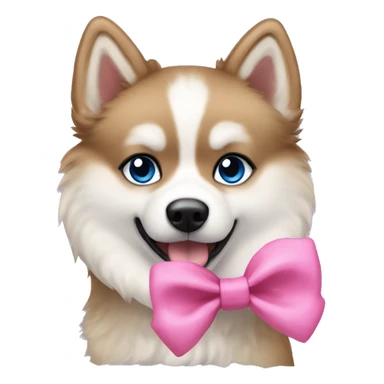 A pomsky dog with black and beige fur, blue eyes and wearing a pink bow in the head sticker